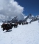 Nagpa La Pass Trek